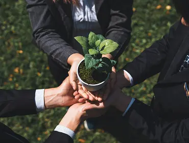 Sustainable Gardening Practices embracing methods blog