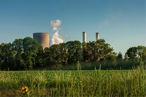 Aerial view of a diversified farm with trees and crops