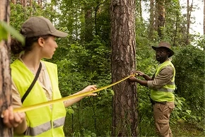 Aerial view of intact natural forest with rivers and hills