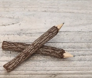 Pencilwood Tree - Sustainable Forestry